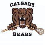 Sr.C Bears